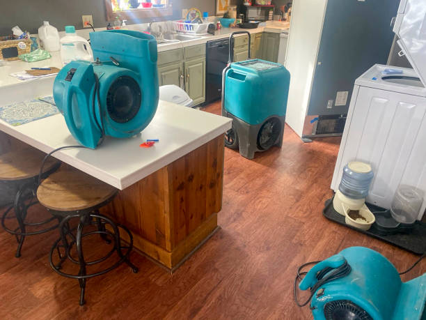 Best Water damage restoration company  in Wallingford Center, CT