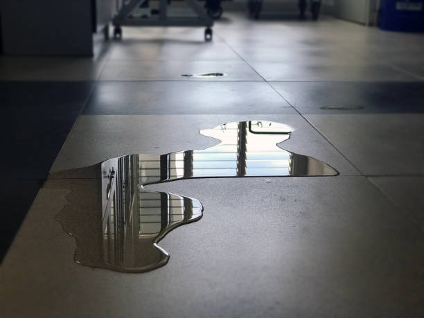 Best Carpet water damage restoration  in Wallingford Center, CT