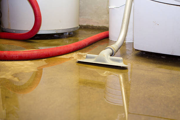 Best Flood damage cleanup  in Wallingford Center, CT